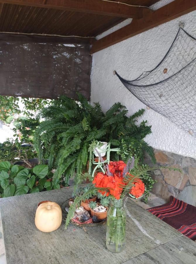 Violet Bedroom And Apartment Spata  Ngoại thất bức ảnh